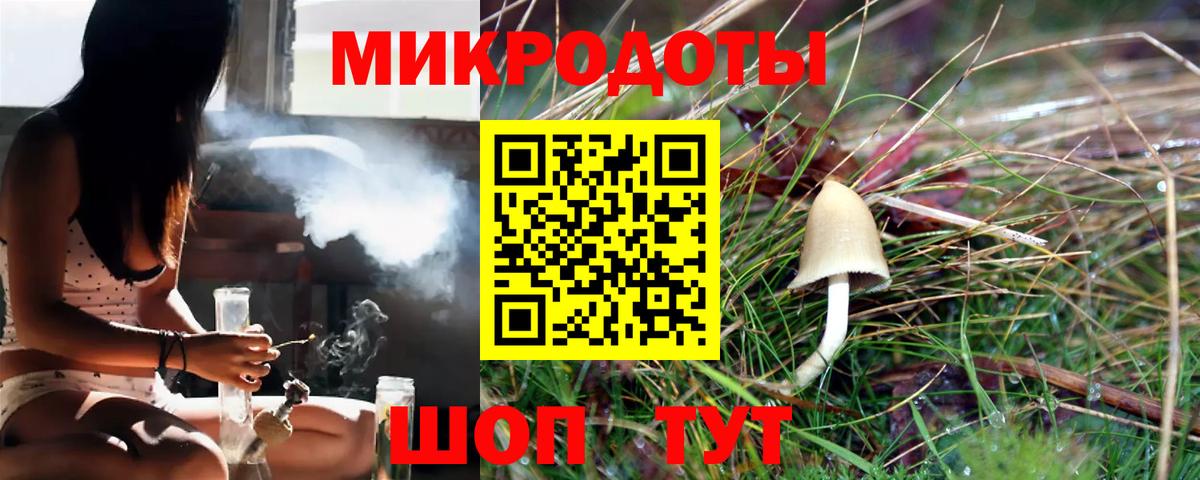 купить  цена  Вход с VPN  Коркино  Псилоцибиновые грибы Psilocybine cubensis 